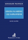 Szkoda na mieniu i jej naprawienie Kaliciński Maciej