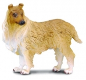 Pies rasy owczarek szkocki Collie (88191)