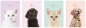 Zeszyt A5/32k kratka - Puppy Sign, 1 szt