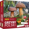 Gra Memory - Grzyby Polski (7912)