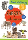 Zwierzęta i ich dzieci