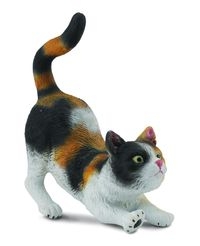 Kot domowy przeciągający się trzy-kolorowy S (004-88491)
