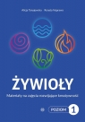 Żywioły Poziom 1