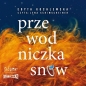Przewodniczka snów (Audiobook) - Edyta Kochlewska