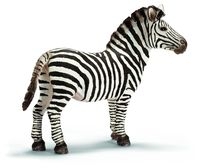 Zebra samiec (14391)