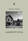 Labirynty życia