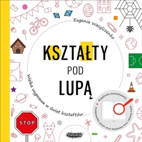 Kształty pod lupą. Wielka wyprawa w świat kształtów - Eugenia Wasylczenko