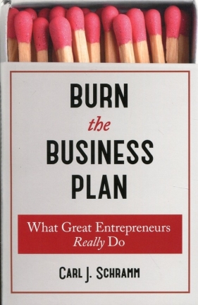 Burn The Business Plan - Carl J. Schramm