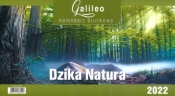 Kalendarz 2022 Biurkowy Galileo Dzika Natura CRUX