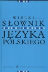 Wielk słownik języka polskiego