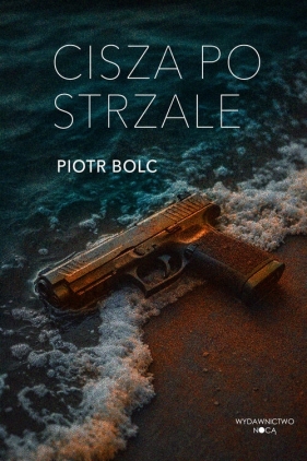 Cisza po strzale - Piotr Bolc