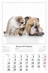 Kalendarz 2014 Psy