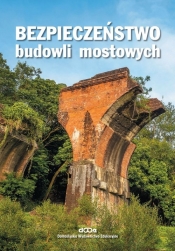 Bezpieczeństwo budowli mostowych - Wojciech Radomski