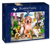 Bluebird Puzzle 500: Dobrzy towarzysze (70291)