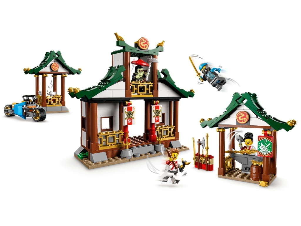 LEGO Ninjago: Kreatywne pudełko z klockami ninja (71787)
