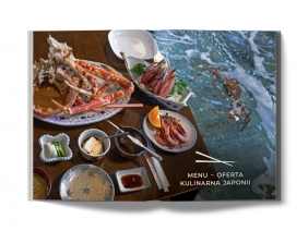 Umami. Jak smakuje Japonia. Poznaj smaki japońskich miast, lokalne targi i knajpki, mistrzów kuchni - Tomasz Cegielski
