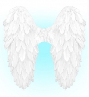 Białe skrzydła naturalne pióra