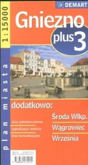 Gniezno plus 3 1:20 000 plan miasta