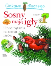 Ciekawe dlaczego sosny mają igły