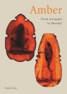 Amber. From Antiquity to Eternity Rachel King