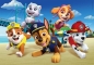 Puzzle Maxi SuperColor 60: Paw Patrol
