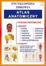 Atlas anatomiczny