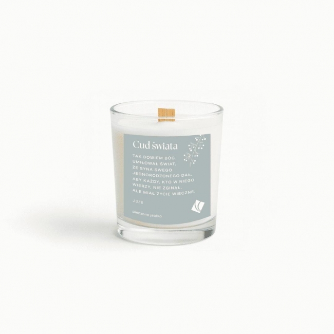 <img src='https://webimage.pl/pics/916/6/d5905316506916.jpg'>