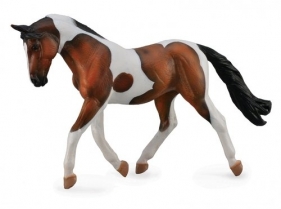 Koń rasy Pinto maści gniadej XL (004-88691)