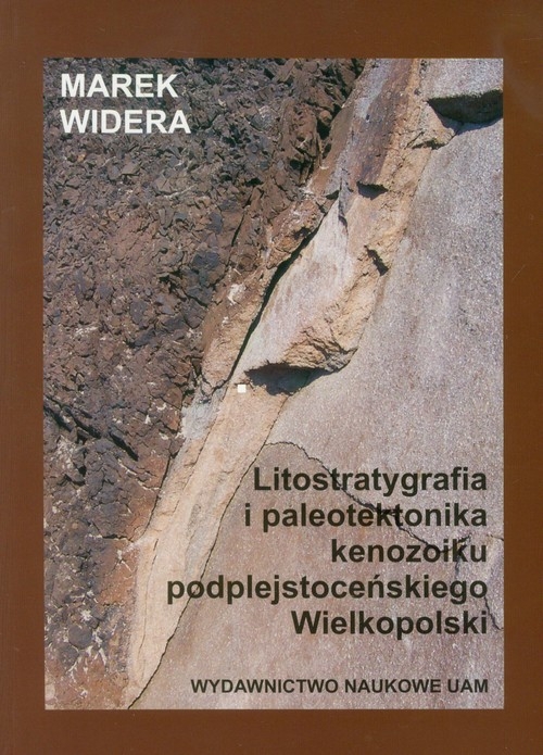 Litostratygrafia i paleotektonika kenozoiku podplejstoceńskiego Wielkopolski