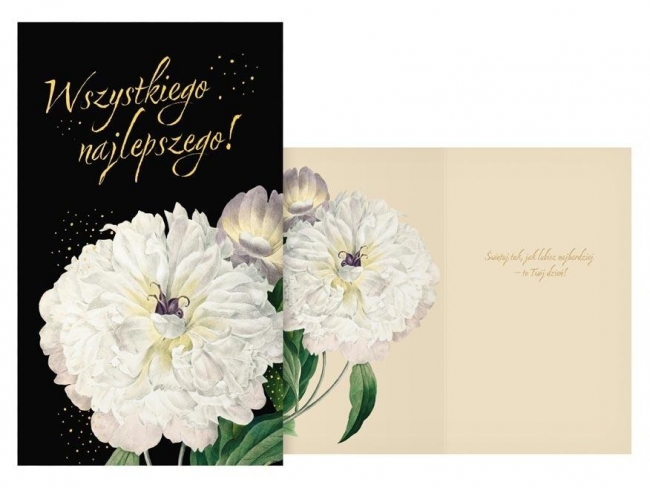 <img src='https://webimage.pl/pics/917/0/d8595724450917.jpg'>