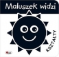 Maluszek widzi. Kształty - Opracowanie zbiorowe