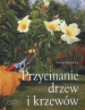 Przycinanie drzew i krzewów Formowanie i cięcie roślin ogrodowych - Bradley Steve