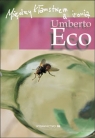 Między kłamstwem a ironią Umberto Eco