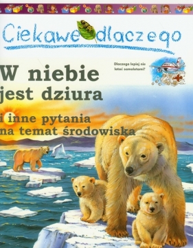 Ciekawe dlaczego w niebie jest dziura - Callery Sean