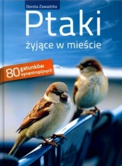 Ptaki żyjące w mieście - Dorota Zawadzka