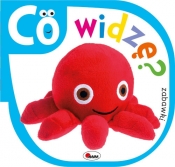 Co widzę? Zabawki - Piotr Kozera