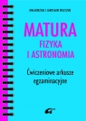 Matura Fizyka i astronomia Ćwiczeniowe arkusze egzaminacyjne Biszczuk Małgorzata, Biszczuk Jarosław