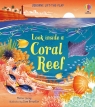 Look inside a Coral Reef Lacey Minna