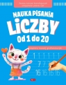Nauka pisania Liczby od 1 do 20 null null