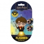 Brelok figurka 3D z latarką LED Harry Potter HPK0033