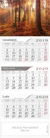 Kalendarz 2020 Trójdzielny W lesie CRUX