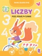 Liczby. Piszę i rysuję po śladzie. Rowki edukacyjne - Opracowanie zbiorowe