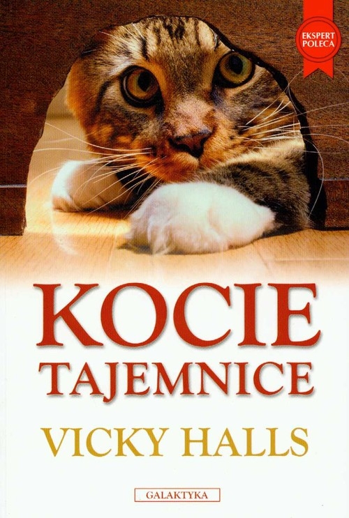 Kocie tajemnice