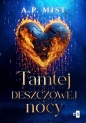 Tamtej deszczowej nocy. Wielkie Litery - A. P. Mist