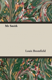 Mr Smith