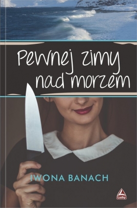 Pewnej zimy nad morzem - Iwona Banach