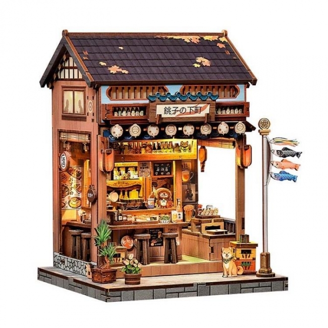 Model Osaka ramen bar