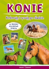 Konie Koloruję i rysuję po śladzie - Monika Myślak