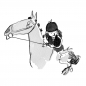 Koń który nauczył się tańczyć - Clare Balding