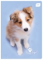 Zeszyt A5/16 kartkowy w kratkę Puppy Sign (305653)